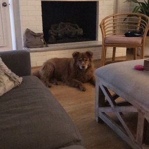 Meet your Posher, Courtney